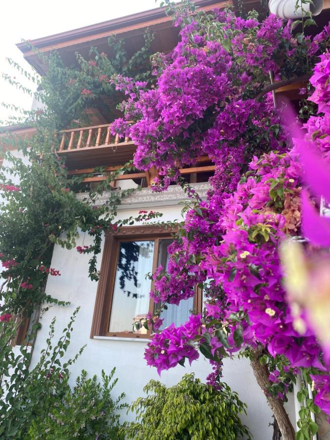 Vilă Tomsan Akyaka (Mugla)